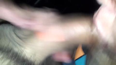 11419