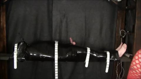 2431