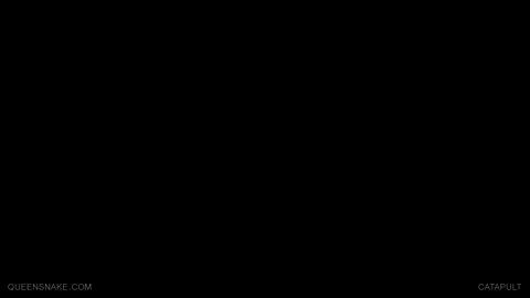 16090